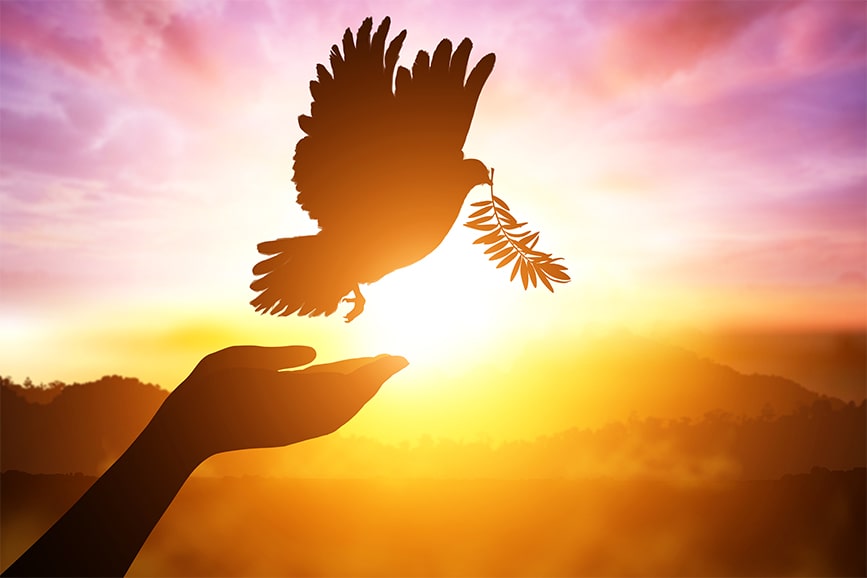 Por do sol com a silhueta de um pombo simbolizando o Espírito Santo